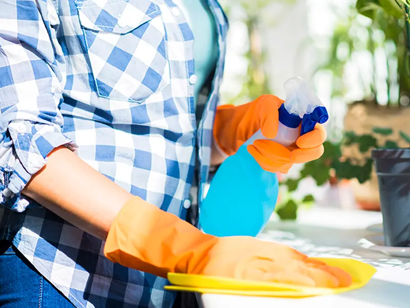 Iris Lawncare Services